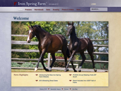 New Site Highlights Spectacular Friesian and Warmblood Horses image